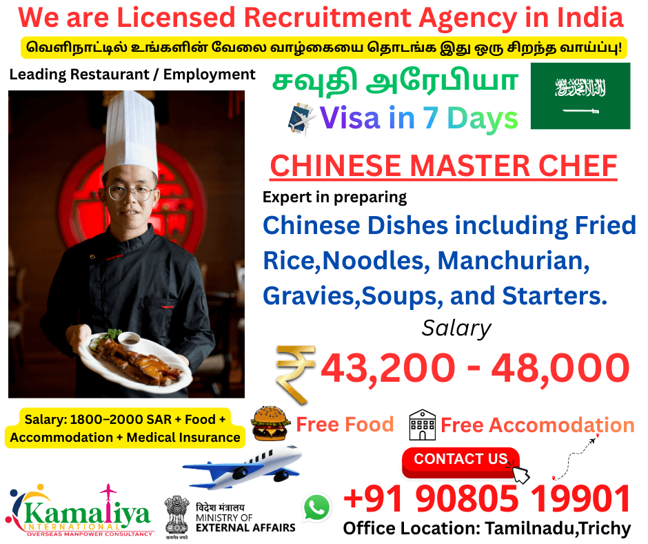 CHINESE MASTER CHEF CHINESE MASTER CHEF