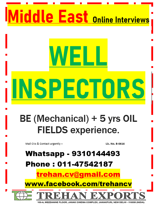 WELL INSPECTORS