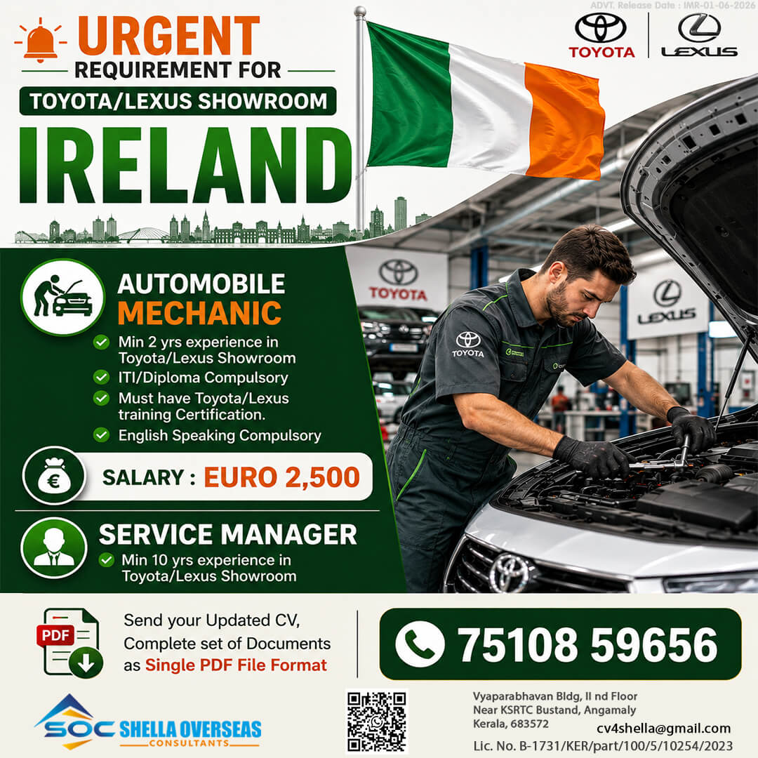 Automobile Mechanic and Service Manager Ireland